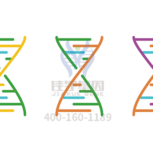 【眼科遗传病】<font color='red'>BEST</font>病基因解码、<a href=http://www.hbywhb.com/tk/jiema/cexujishu/2021/31933.html>基因检测</a>